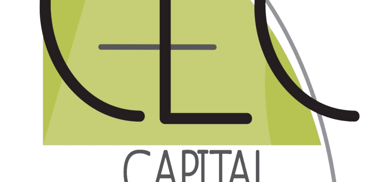 شركة العاصمة للاستشارات الهندسية تعلن وظيفة شاغرة