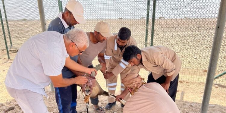 الانتهاء من المرحلة الأولى لمشروع إنشاء بنك الجينات لحفظ الأصول الوراثية