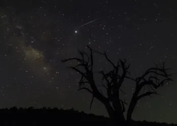 سماء سلطنة عُمان تشهد تساقط زخات شهب التوأميات