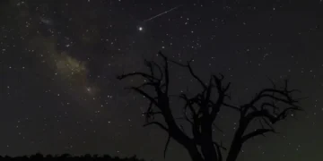 سماء سلطنة عُمان تشهد تساقط زخات شهب التوأميات