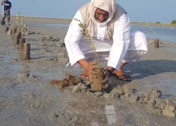 19506BBF 8E45 4D45 8913 8133B1C7D5FC