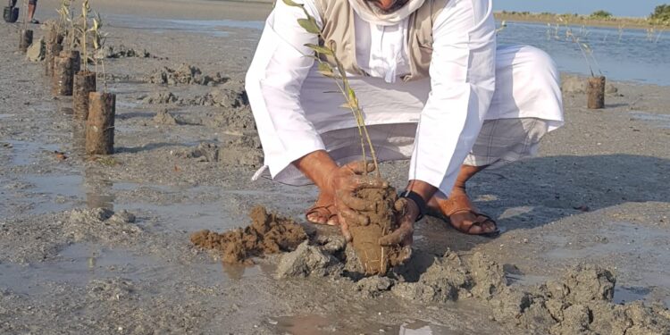 19506BBF 8E45 4D45 8913 8133B1C7D5FC