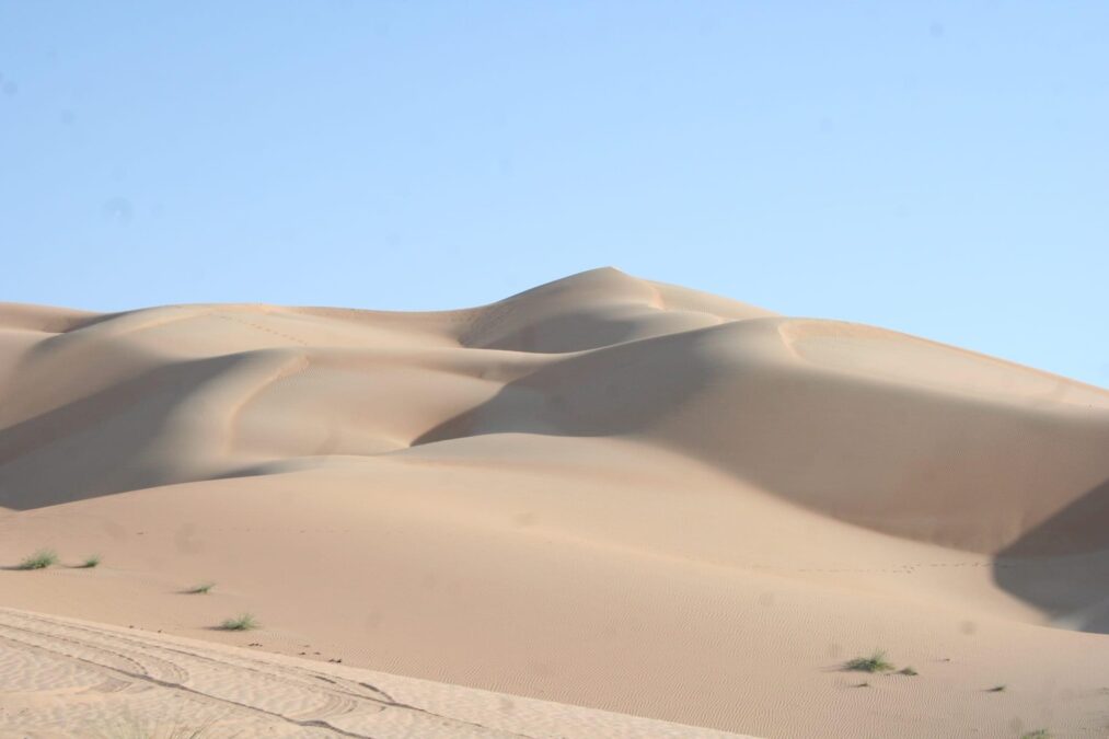 (الرحال) يعصر صحراء الربع الخالي 25 34A0FDD2 0026 4CE6 86CA F3537DD21B1A