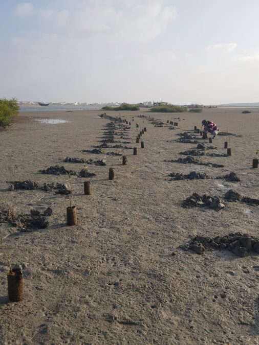 5AD187FF E475 4123 A0A9 1939311C5E0D