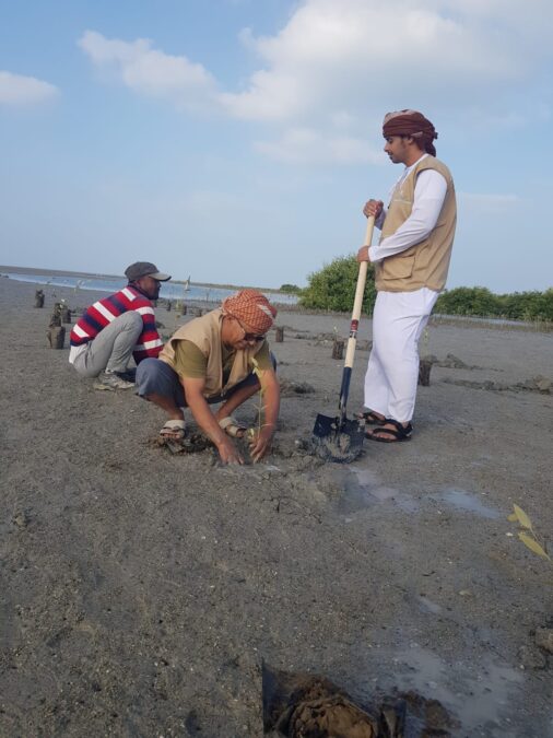 CA76CDD6 FB7B 4B76 A466 E975E8F7718A