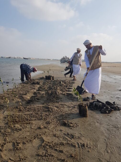 D3C79016 D24D 4F82 93E5 2B7C136D42B7