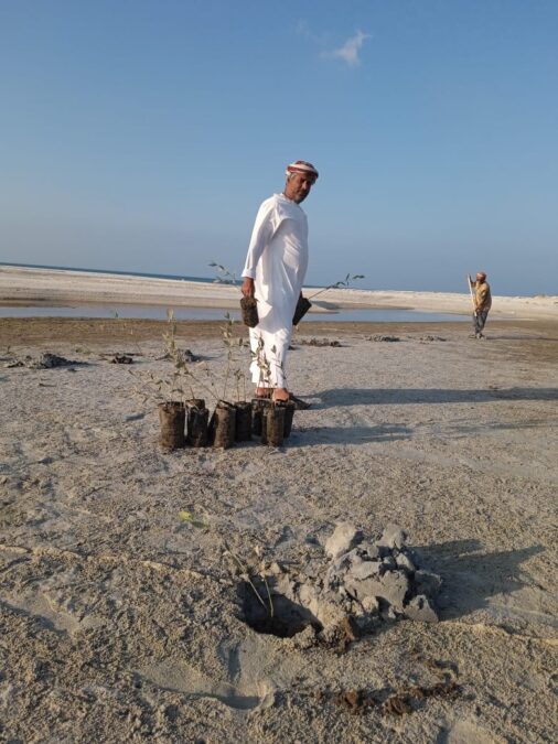 <br>تنفيذ حملة استزراع لأشجار القرم بولاية مصيرة 3 00AFDA82 2300 4CDF 9E6B 49E23602B442