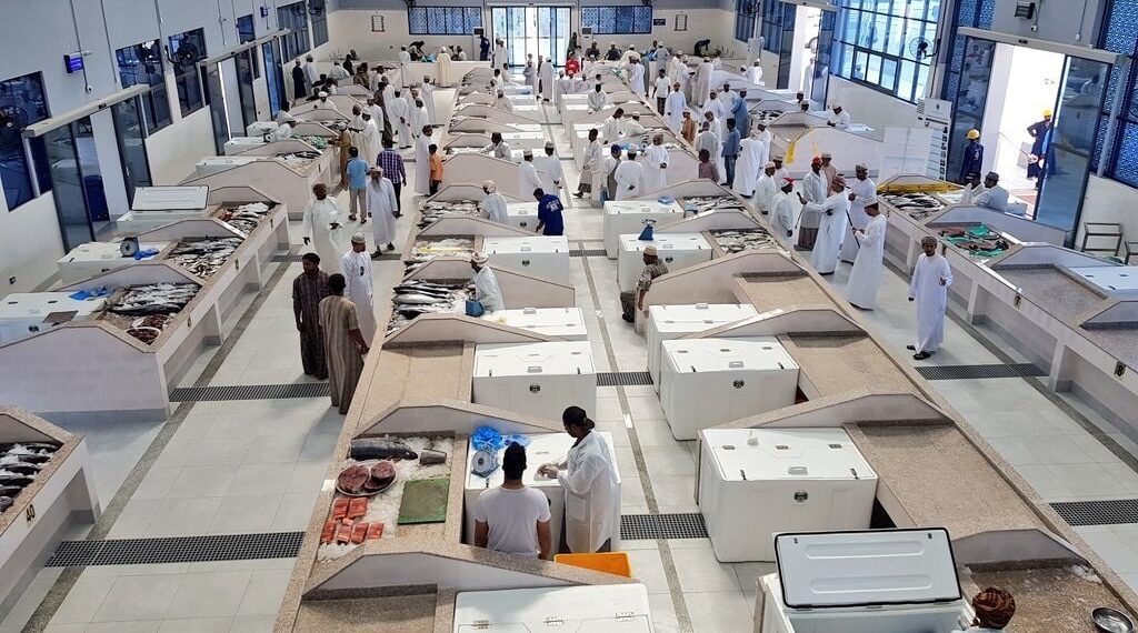 7ر379 مليون ريال عُماني قيمة الأسماك المُنزلة في سلطنة عُمان بنهاية نوفمبر الماضي