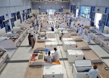 7ر379 مليون ريال عُماني قيمة الأسماك المُنزلة في سلطنة عُمان بنهاية نوفمبر الماضي