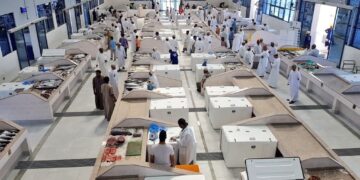 7ر379 مليون ريال عُماني قيمة الأسماك المُنزلة في سلطنة عُمان بنهاية نوفمبر الماضي