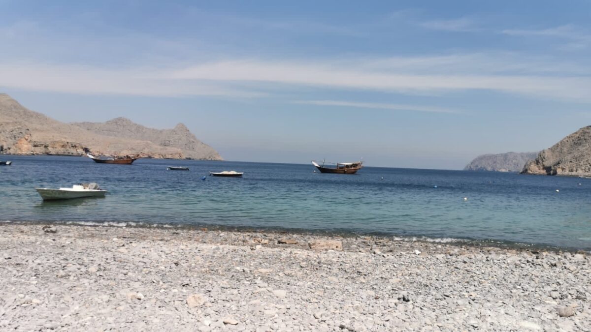 1E1E154C 85DB 48AF 9793 DDA8AA951D7D