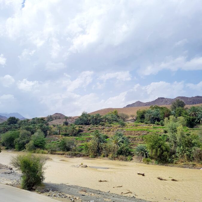 3B0080A4 1BA2 4628 8F87 26B77A6F5348