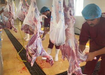 8559F224 D2C6 48A1 B46B 72CB242CE0EC