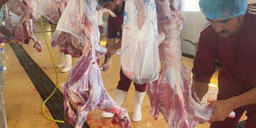 8559F224 D2C6 48A1 B46B 72CB242CE0EC