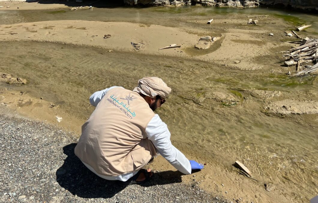 8AA901DE F123 46A8 B348 7F9E5579FEAC