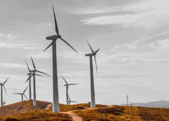 أوكيو ترسي مرتكزات الاستدامة لأنشطتها وعملياتها خلال الثلاث سنوات القادمة