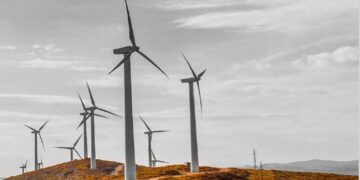 أوكيو ترسي مرتكزات الاستدامة لأنشطتها وعملياتها خلال الثلاث سنوات القادمة