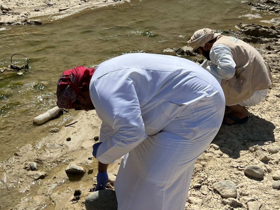 BECD3E86 03FD 4FB4 83AE FB38FD91A39A