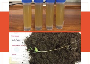 دراسة بحثية عُمانية تظهر وجود مستوى متفاوت للبرولين
