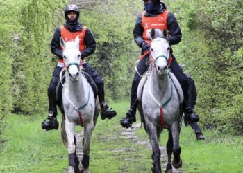 الفارسان العمانيان لؤي وعلي آل سعيد يجتازان بنجاح سباق سلوفاكيا للقدرة