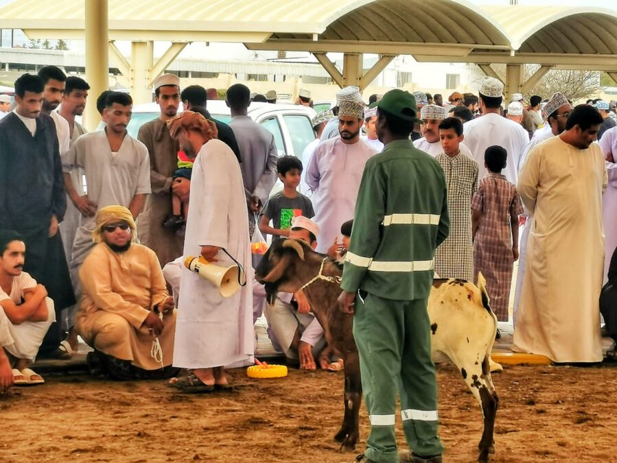انطلاق هبطة عيد الفطر المبارك بولاية الخابورة 2 583B5BD3 5A52 462F 8313 C959538DF29A