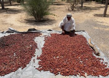 8B0B7907 6357 4E62 98B3 00F8230F093E