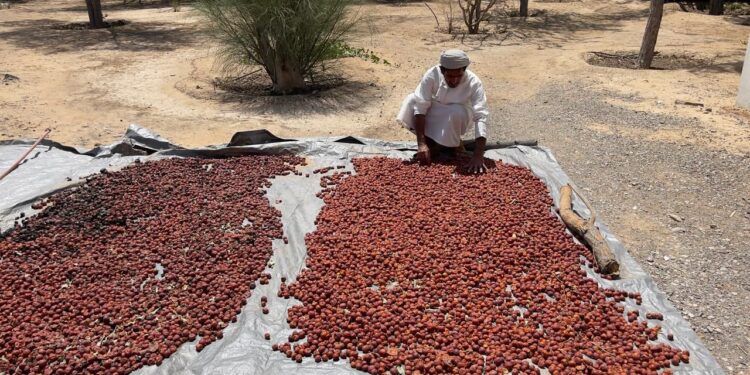 8B0B7907 6357 4E62 98B3 00F8230F093E