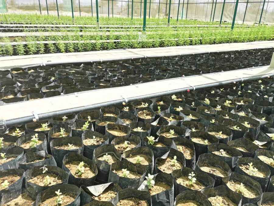 9C91CD7D 5913 4329 9167 35B643063F86