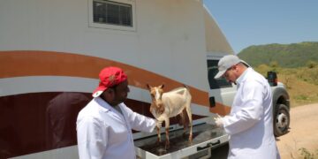 سلطنة عُمان تشارك العالم في الاحتفاء باليوم العالمي للطبيب البيطري