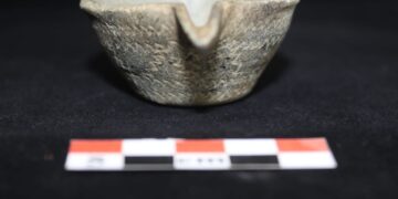 مسح وتنقيب لـ28 بعثة في أكثر من 68 موقع أثري تكشف المزيد من دور سلطنة عمان الحضاري