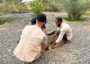 مركز البيئة بالسويق ينفذ حملة استزراع وتوزيع في عدة مواقع بالولاية