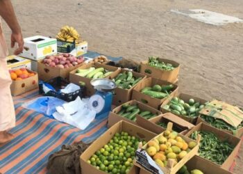 بتهمة بيع خضروات و فواكة مجهولة المصدر.. ضبط عدد من الباعة المخالفين في بركاء