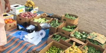 بتهمة بيع خضروات و فواكة مجهولة المصدر.. ضبط عدد من الباعة المخالفين في بركاء