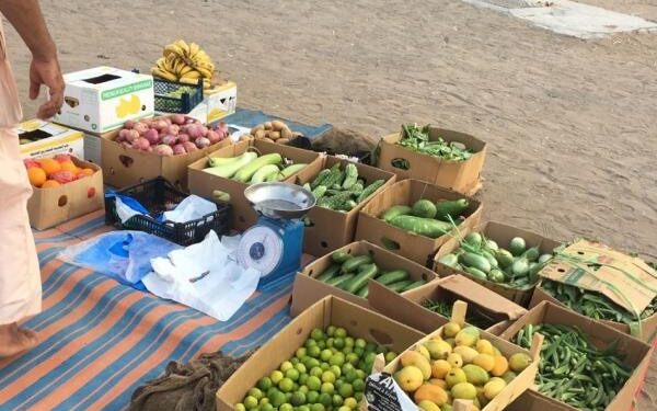 بتهمة بيع خضروات و فواكة مجهولة المصدر.. ضبط عدد من الباعة المخالفين في بركاء