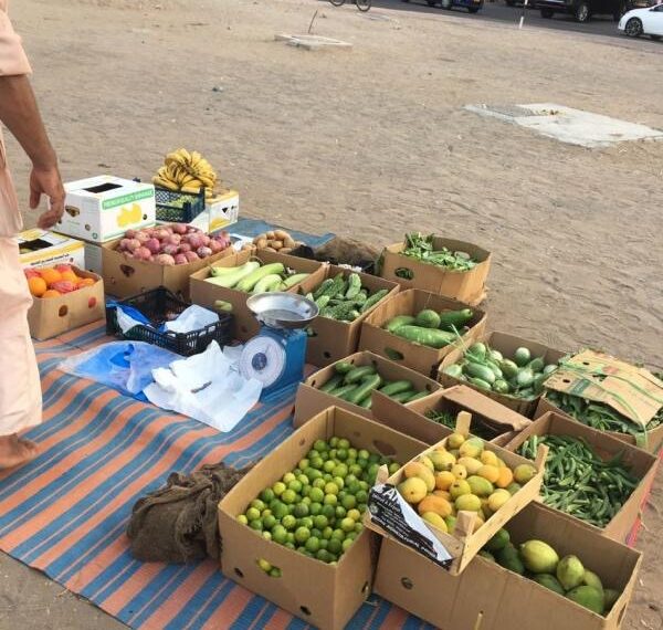 بتهمة بيع خضروات و فواكة مجهولة المصدر.. ضبط عدد من الباعة المخالفين في بركاء