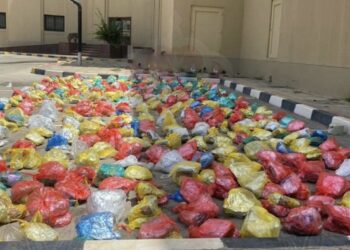 القبض على 3 أشخاص بتهمة تهريب أكثر من (700) رزمة من مخدر القات