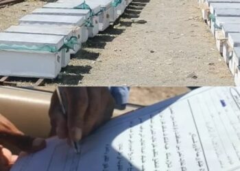 ضبط وتحرير مخالفات نقل خلايا قبل الحصول على تصريح بشمال الباطنة