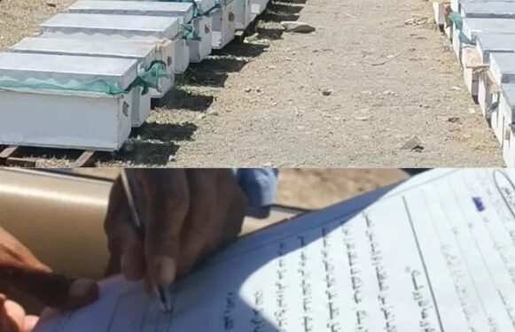 ضبط وتحرير مخالفات نقل خلايا قبل الحصول على تصريح بشمال الباطنة