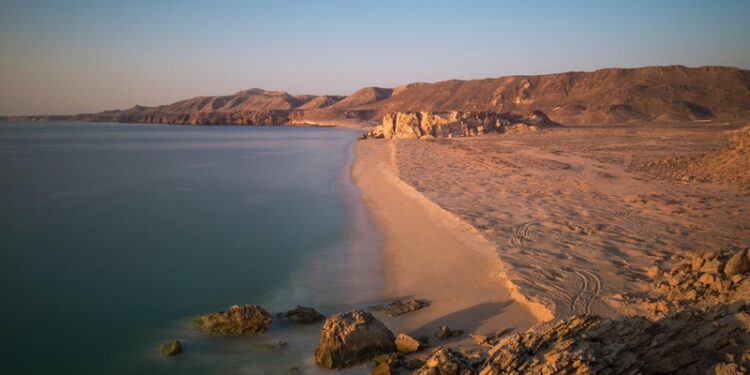 هيئة البيئة وبرنامج الأمم المتحدة للبيئة يوقّعان مذكرة تفاهم في المجال البيئي 1 هيئة البيئة وبرنامج الأمم المتحدة للبيئة يوقّعان مذكرة تفاهم في المجال البيئي