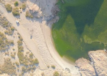 هيئة البيئة تنفذ مسحًا استكشافيًّا للتنوع الأحيائي ومصادر المياه بجزر الحلانيات بظفار