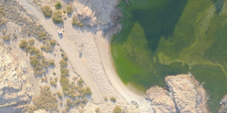 هيئة البيئة تنفذ مسحًا استكشافيًّا للتنوع الأحيائي ومصادر المياه بجزر الحلانيات بظفار