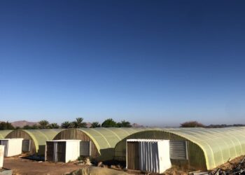 الزراعة في البيوت المحمية.. نموذج لاهتمام المواطن العُماني بمهنة الزراعة