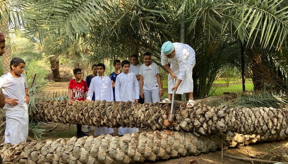 مشروع استدامة لتدوير مخلفات النخيل بمحافظة الظاهرة