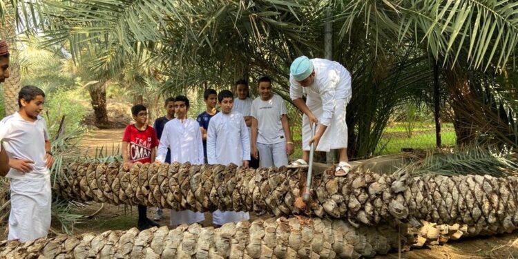 مشروع استدامة لتدوير مخلفات النخيل بمحافظة الظاهرة