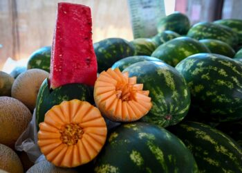 تأثير المبيدات المحظورة واستخدام المرخص منها بالطرق غير السليمة على المحاصيل الزراعية