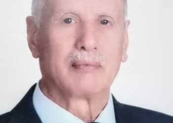 الوحدة العربية ومسألة الأقليات