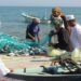 قرار وزاري بتحديث قائمة الأنشطة المحظور مزاولتها في الاستثمار الأجنبي
