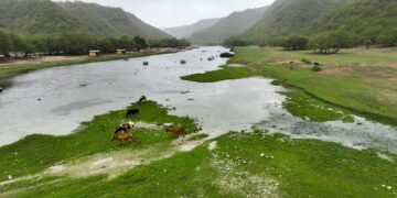 بعض المناطق الجبلية تكتسي باللون الأخضر مع قرب بدء موسم خريف ظفار