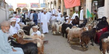 إقبال على شراء الأضاحي ومستلزمات العيد في هبطات أسواق جنوب الباطنة وشمال الشرقية