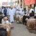 إقبال على شراء الأضاحي ومستلزمات العيد في هبطات أسواق جنوب الباطنة وشمال الشرقية